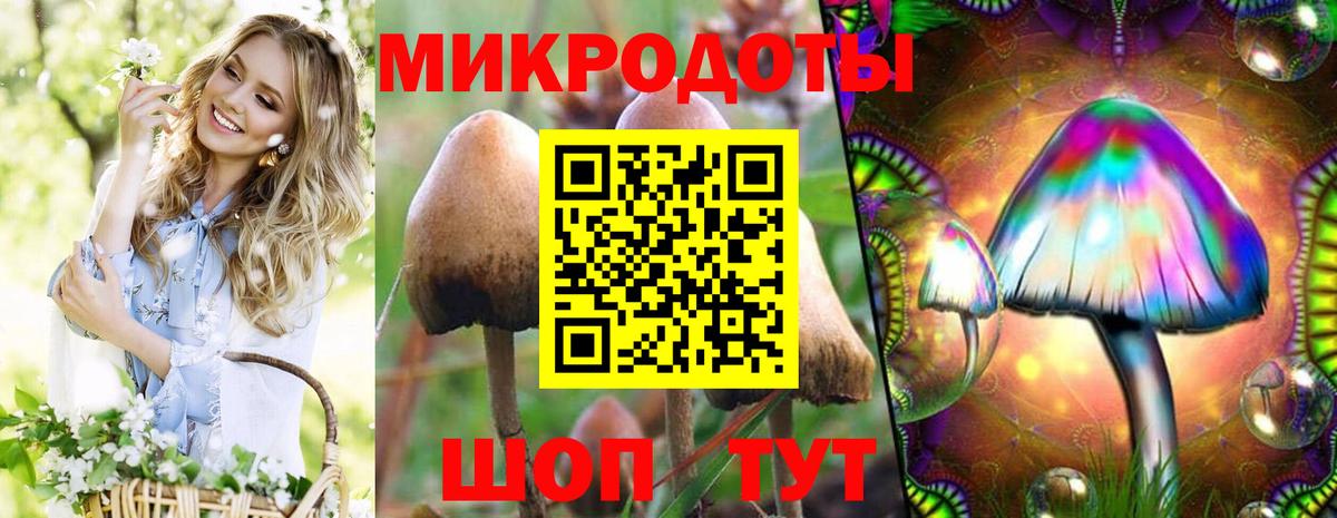 Псилоцибиновые грибы мухоморы Дедовск